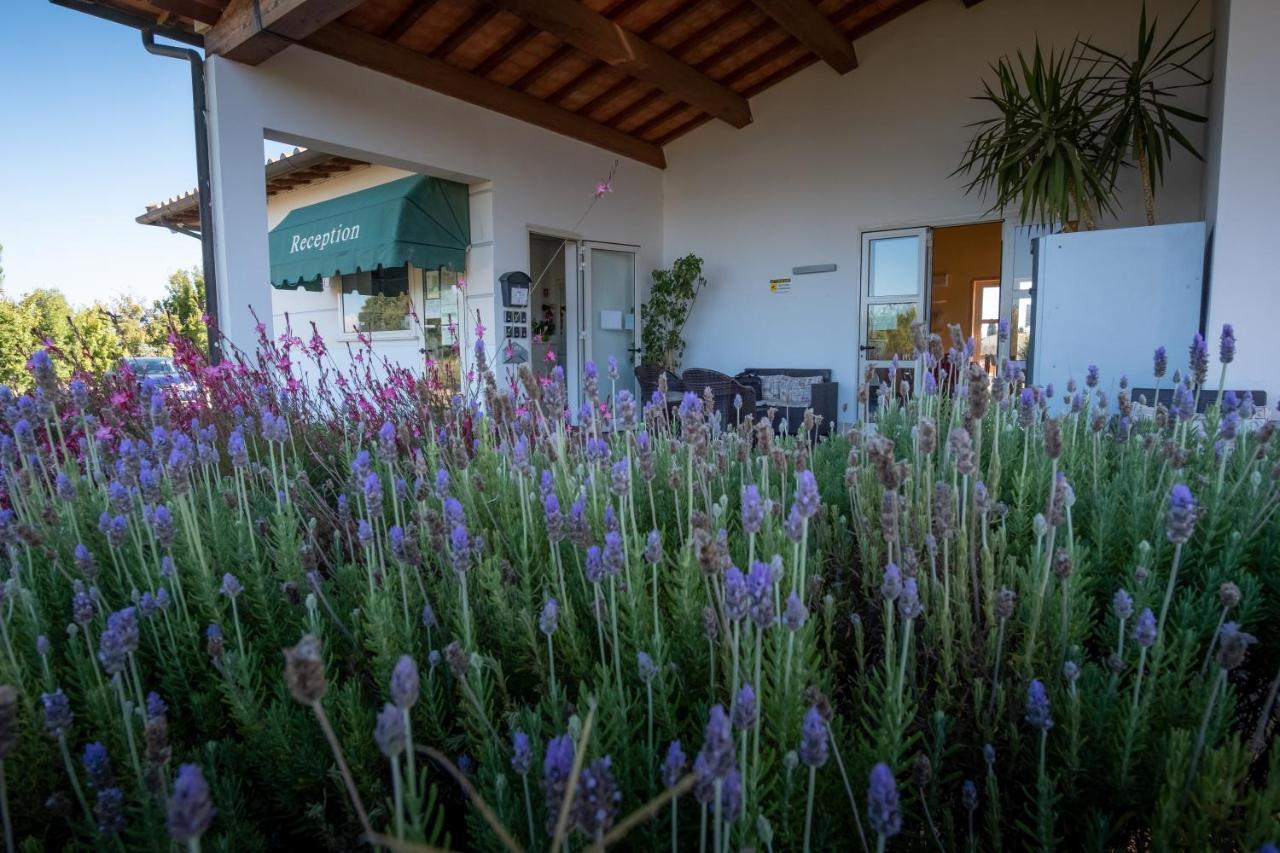 Residenza Principina Aparthotel Principina Terra Exterior foto